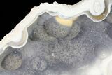 Beautiful, Agatized Fossil Coral Geode - Florida #57674-2